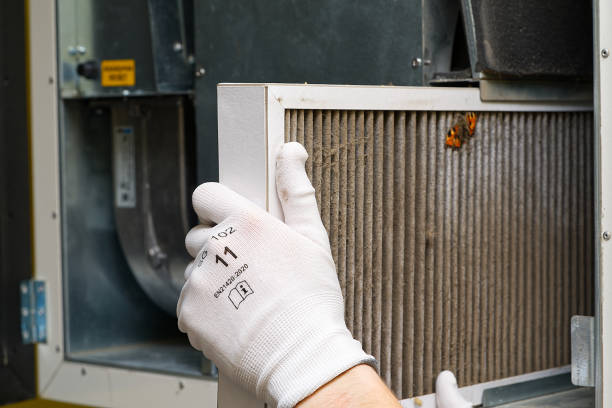 Best Air Quality Test  in Deland Southwest, FL
