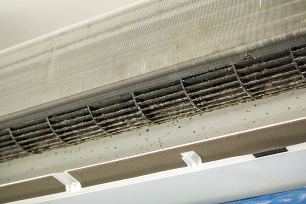 Ventilation Cleaning Services in Deland Southwest, FL